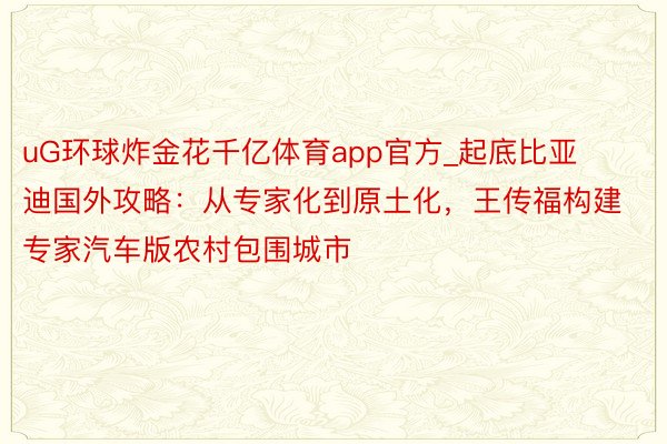 uG环球炸金花千亿体育app官方_起底比亚迪国外攻略：从专家化到原土化，王传福构建专家汽车版农村包围城市