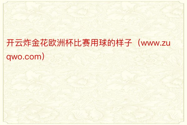 开云炸金花欧洲杯比赛用球的样子（www.zuqwo.com）