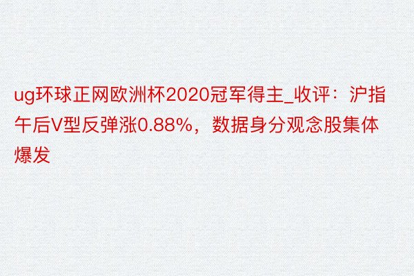 ug环球正网欧洲杯2020冠军得主_收评：沪指午后V型反弹涨0.88%，数据身分观念股集体爆发